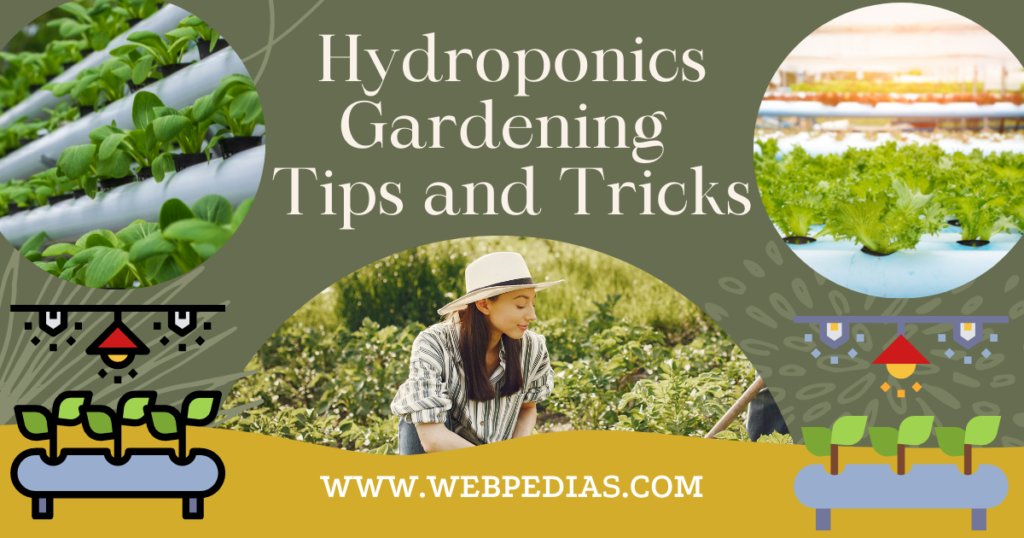 Hydroponics Gardening Tips and Tricks