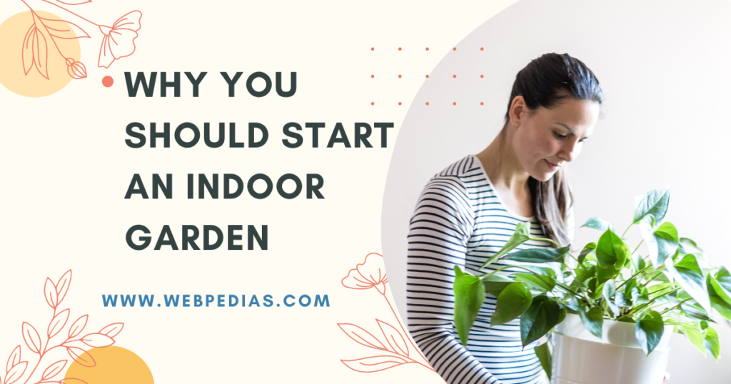 Why You Should Start an Indoor Garden