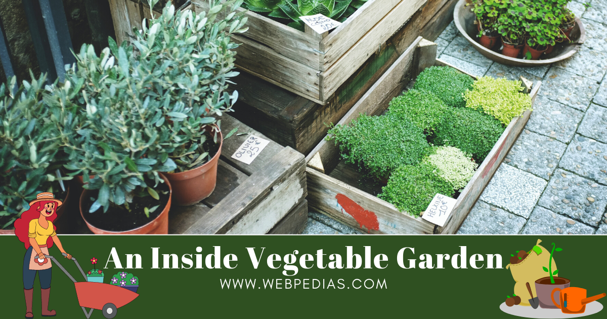 An Inside Vegetable Garden