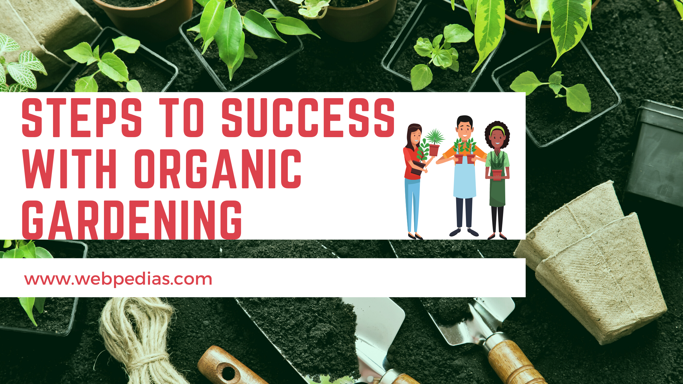 Steps to Success with Organic Gardening