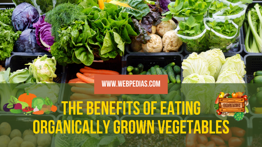 The Benefits of Eating Organically Grown Vegetables