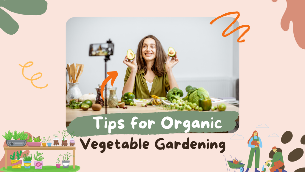 Tips for Organic Vegetable Gardening