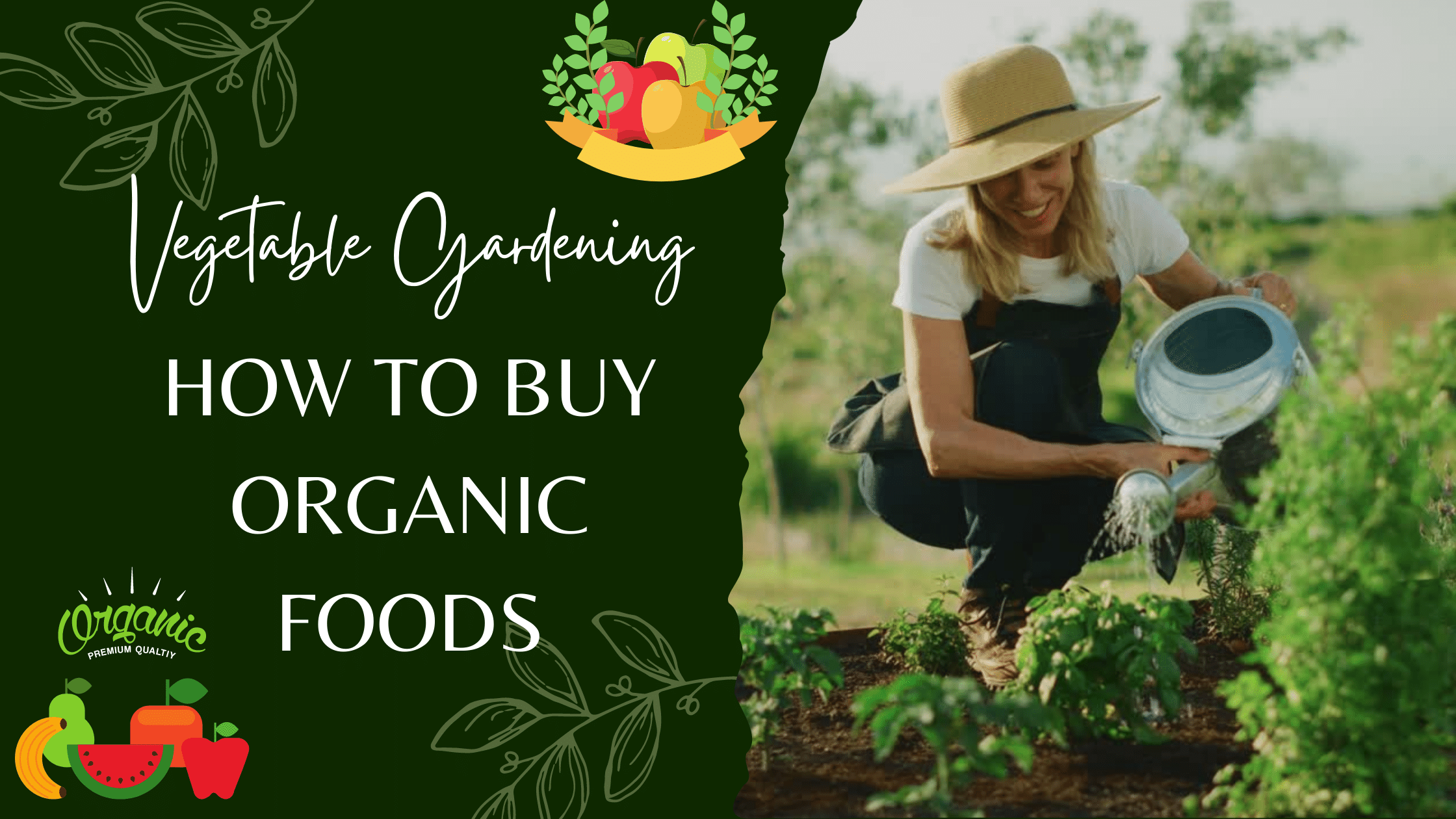 how-to-buy-organic-foods-web-pedias